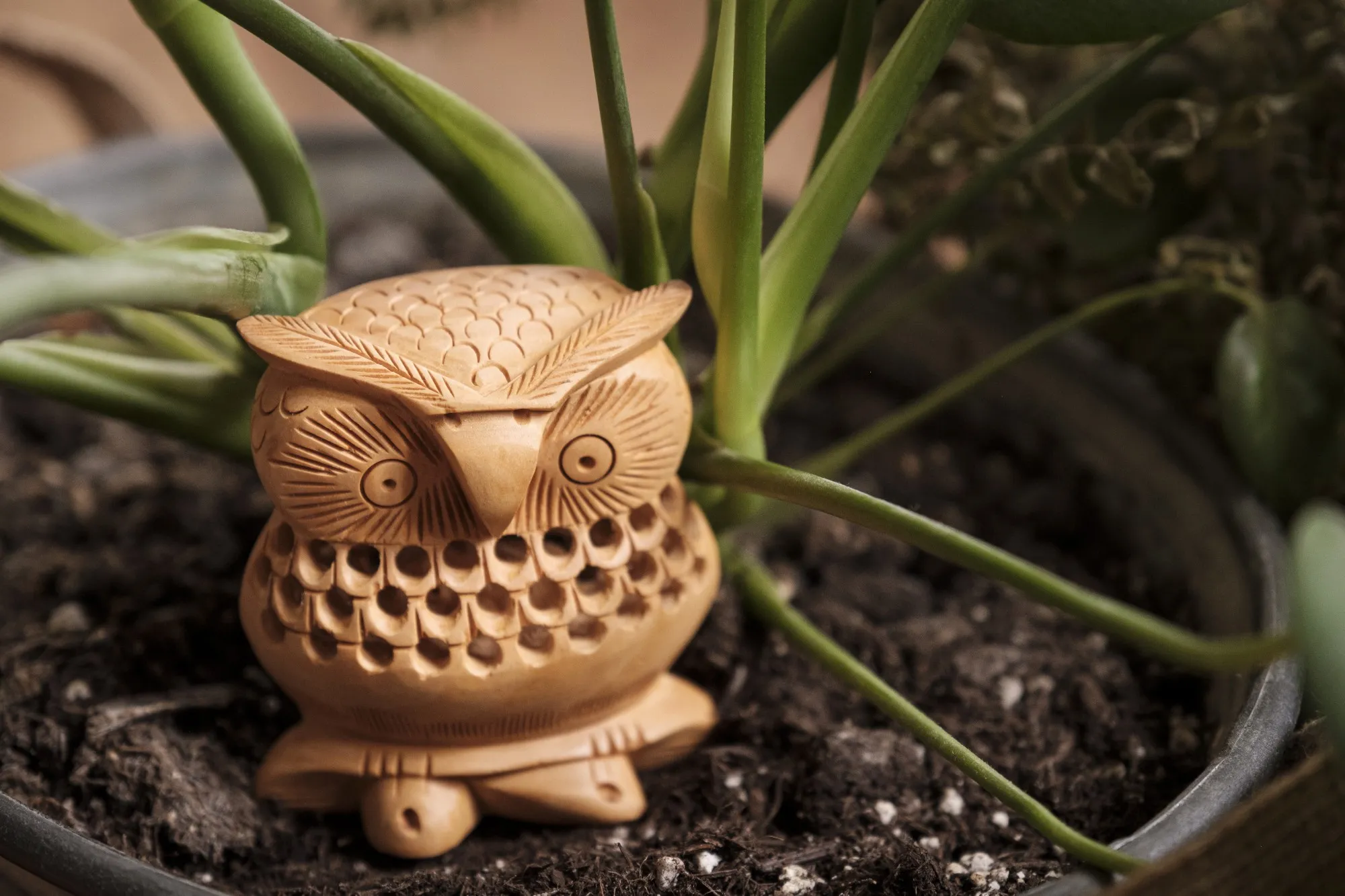 Eule in Eule aus Holz, H 8 cm, B 7 cm, T 4 cm