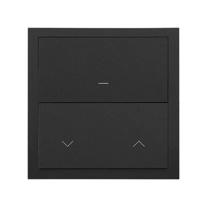 1-fach Panel iO 1x Wippe Master + 1x Jalousietaster Master matt schwarz Simon 100